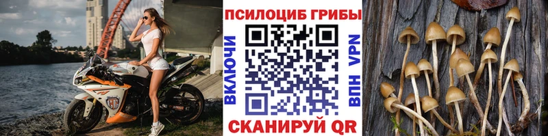 дарнет шоп  Кольчугино  MEGA ТОР  Галлюциногенные грибы MAGIC MUSHROOMS 